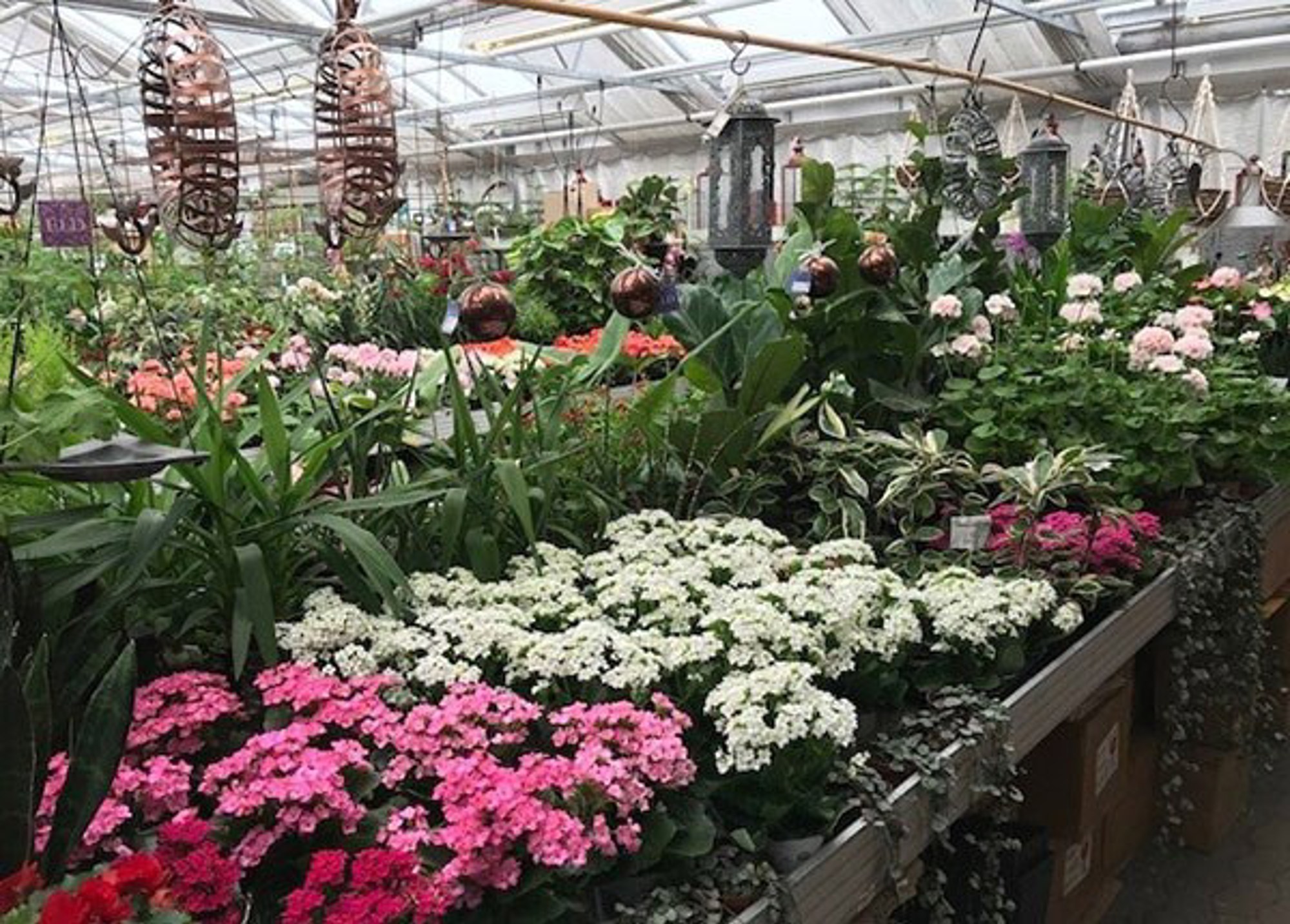 nomenu Sidbild för Trädgårdsbutiken Blommor och växter