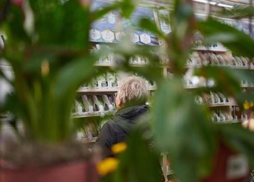 nomenu Bilden är en av sidbilderna till trädgårdsbutiken, miljöbild från fröavdelningen