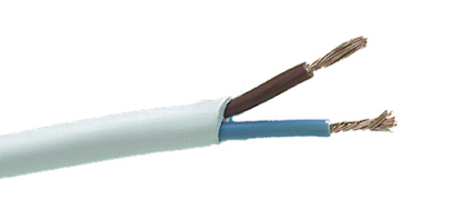 7901603.jpg