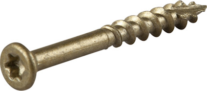 Guldfärgad trallskruv med stjärnformat T20-spår och grov gänga, liggande på en grå yta.