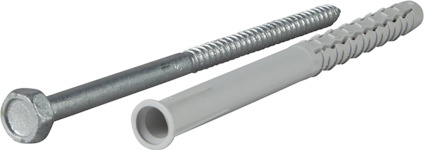 Skruv och plastplugg, skruv med sexkantshuvud och metallyta, plugg i vitt plastmaterial med ribbad yta.