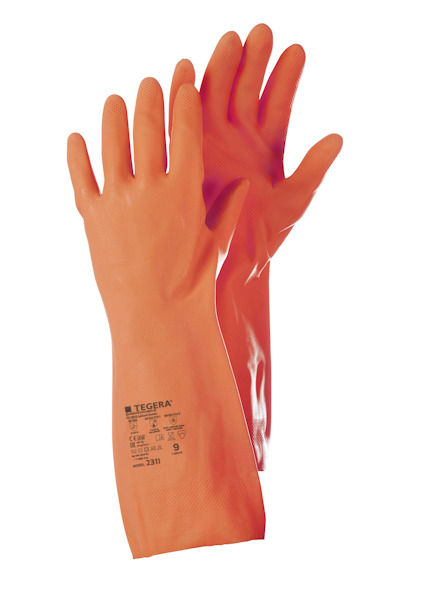 7986444.jpg