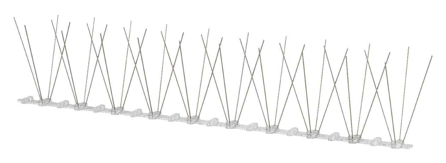 FÅGELPIGGAR - Jowema