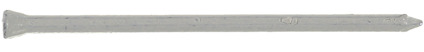 8016087.jpg