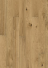8023453.jpg