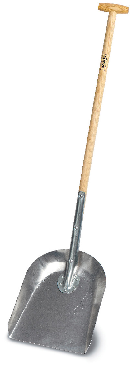 8023551.jpg