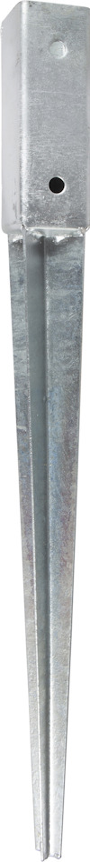 8024285.jpg