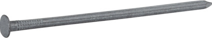 8035062.jpg