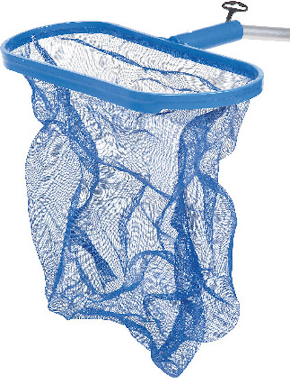Blå lövhåv med nät och handtag, avsedd för att rengöra pooler.