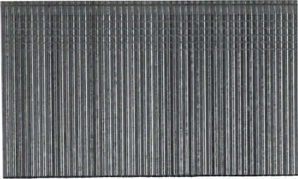 8069058.jpg