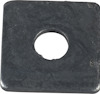 8069504.jpg