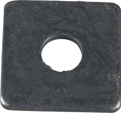 8069504.jpg