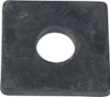 8069509.jpg