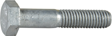 8069860.jpg