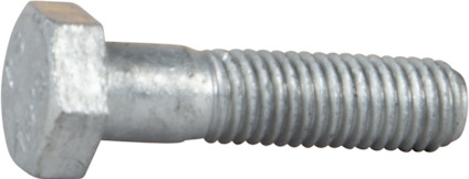 8070062.jpg