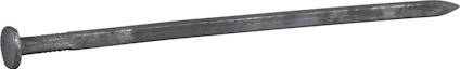 8070075.jpg
