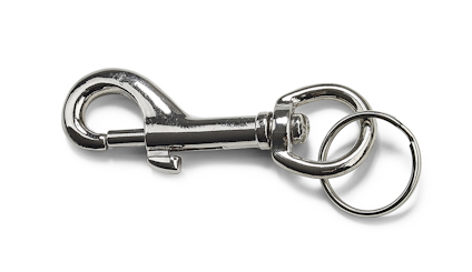 En metallkarbinhake med en fjäderbelastad öppningsmekanism och en rund ring fäst vid basen.