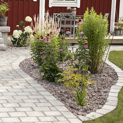 Trädgård med plattor, kantade med runda stenar och blomsterbäddar med höga, lila blommor mot en röd trävägg.