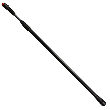 8170172.jpg