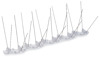 8176826.jpg