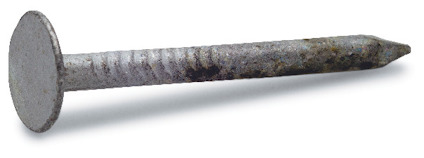 Metallspik med platt huvud och spetsig ände på vit bakgrund.