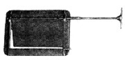 8195263.jpg