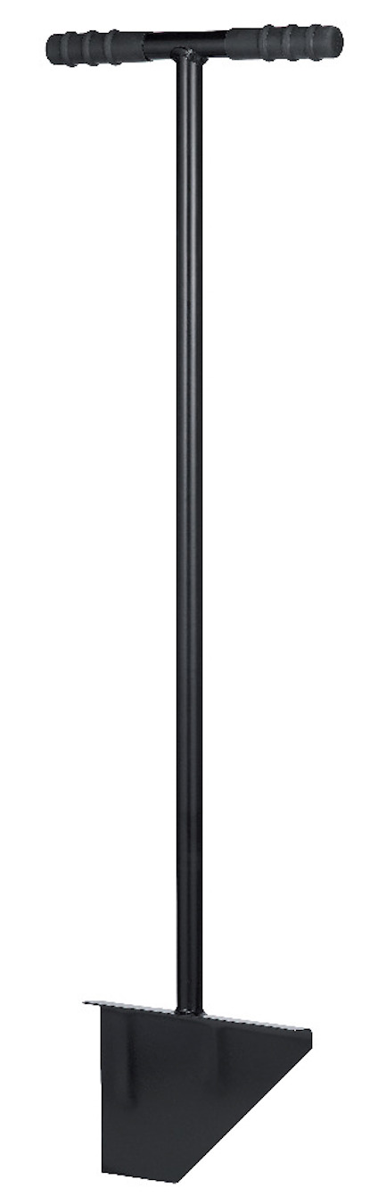 8195406.jpg