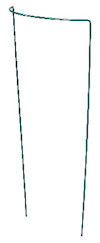 8195903.jpg