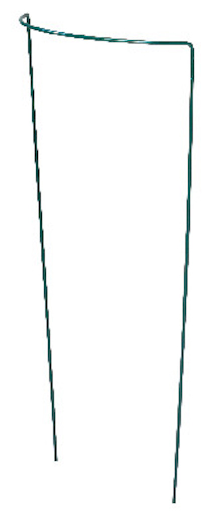 8195903.jpg