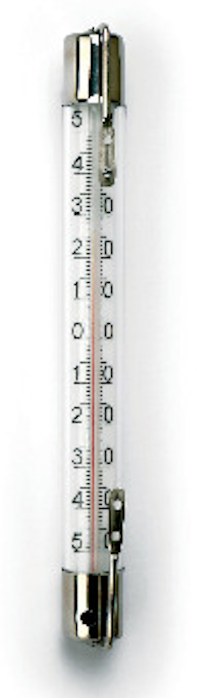 8195916.jpg