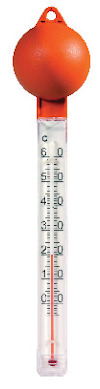 8195930.jpg