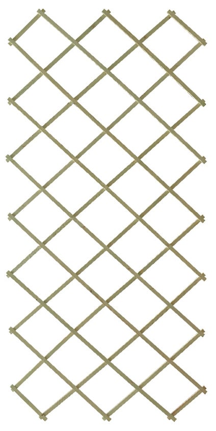 Grönbetsad träspaljé med rutmönster av snedställda ribbor.