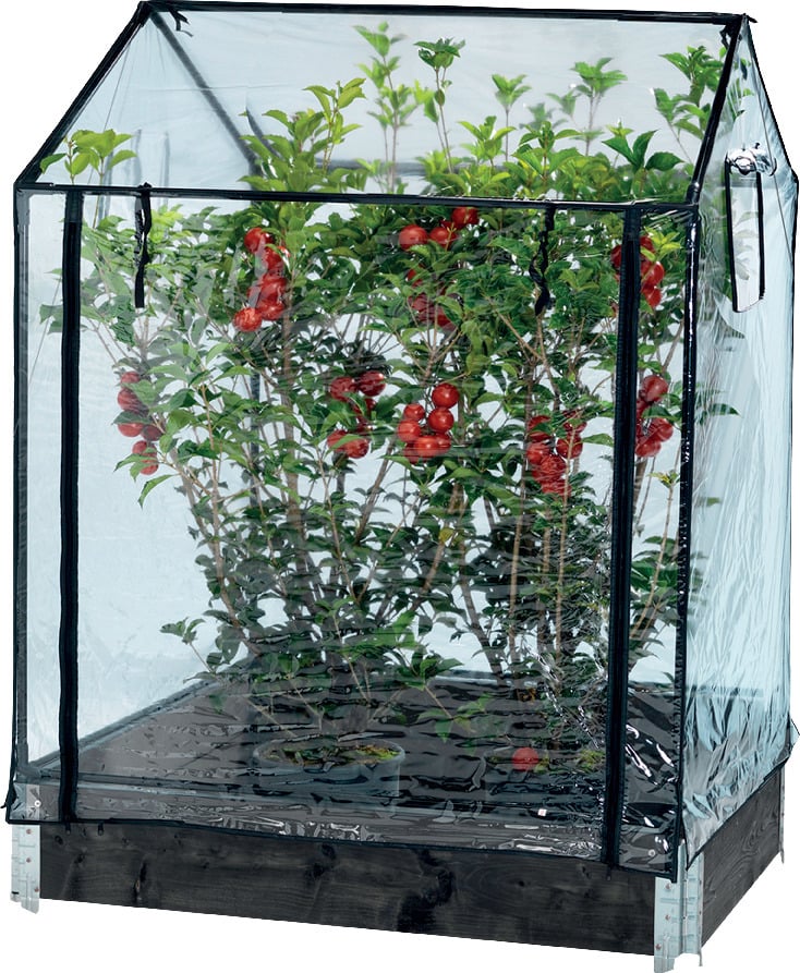 VÄXTHUS HORTUS FÖR ODLINGSKRAGE - NSH NORDIC