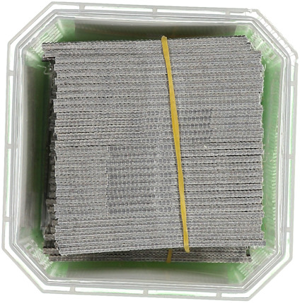 8210285.jpg