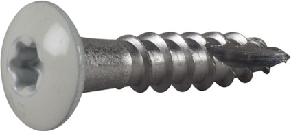 Rostfri skruv med vit skalle och gängad kropp på grå bakgrund.